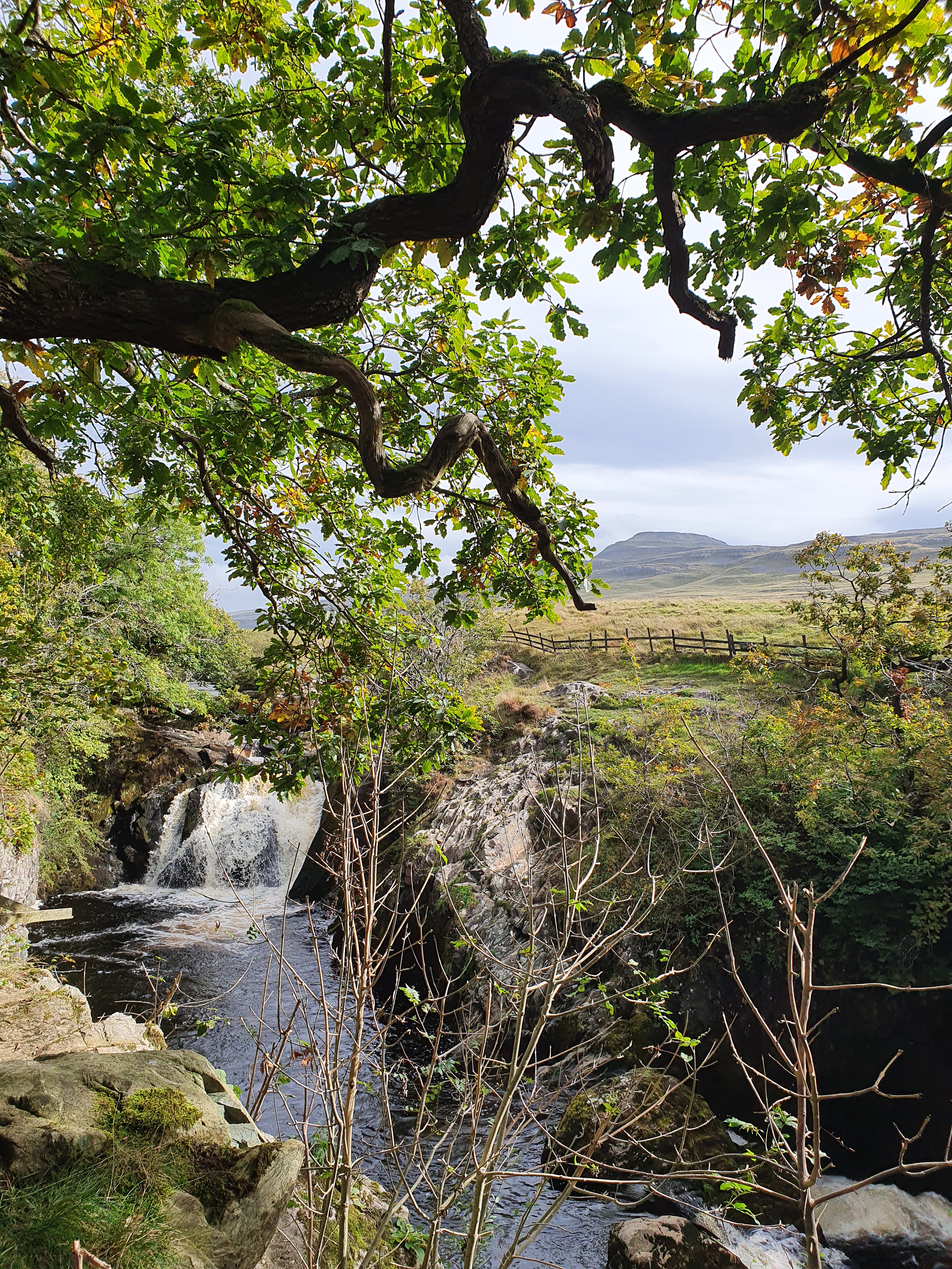 Ingleton The Ingleton Waterfall Trail: A Day Out in the Yorkshire Dales – Lisa ...