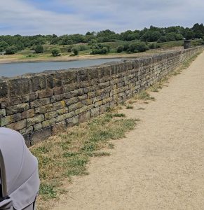 A scenic view of a pathway alongside a stone wall near a body of water, surrounded by greenery and a clear sky.