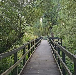 A wooden footbridge leading through a lush green landscape, surrounded by trees and bushes.
