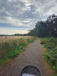 A gravel path meandering through a grassy field, bordered by trees under a cloudy sky.